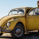 Hailee Steinfeld and her brand new Transformer, Bumblebee.